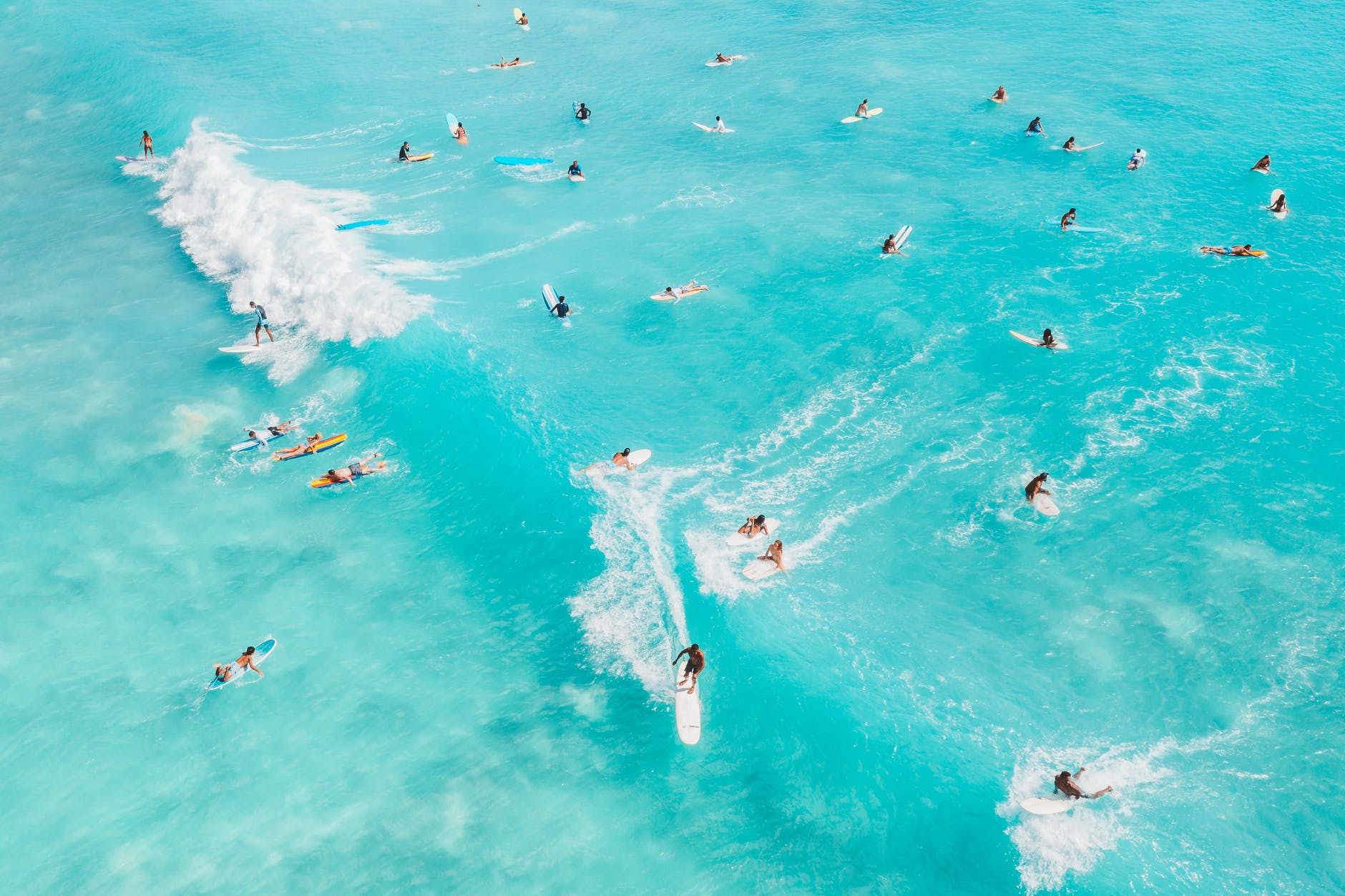people surfing on sea