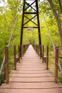 brown wooden foot bridge surrounded by trees