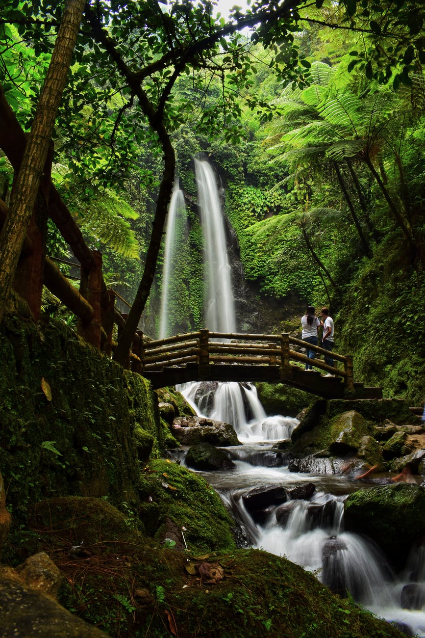wooden bridge with the view of waterfalls and trees in a tropical forest