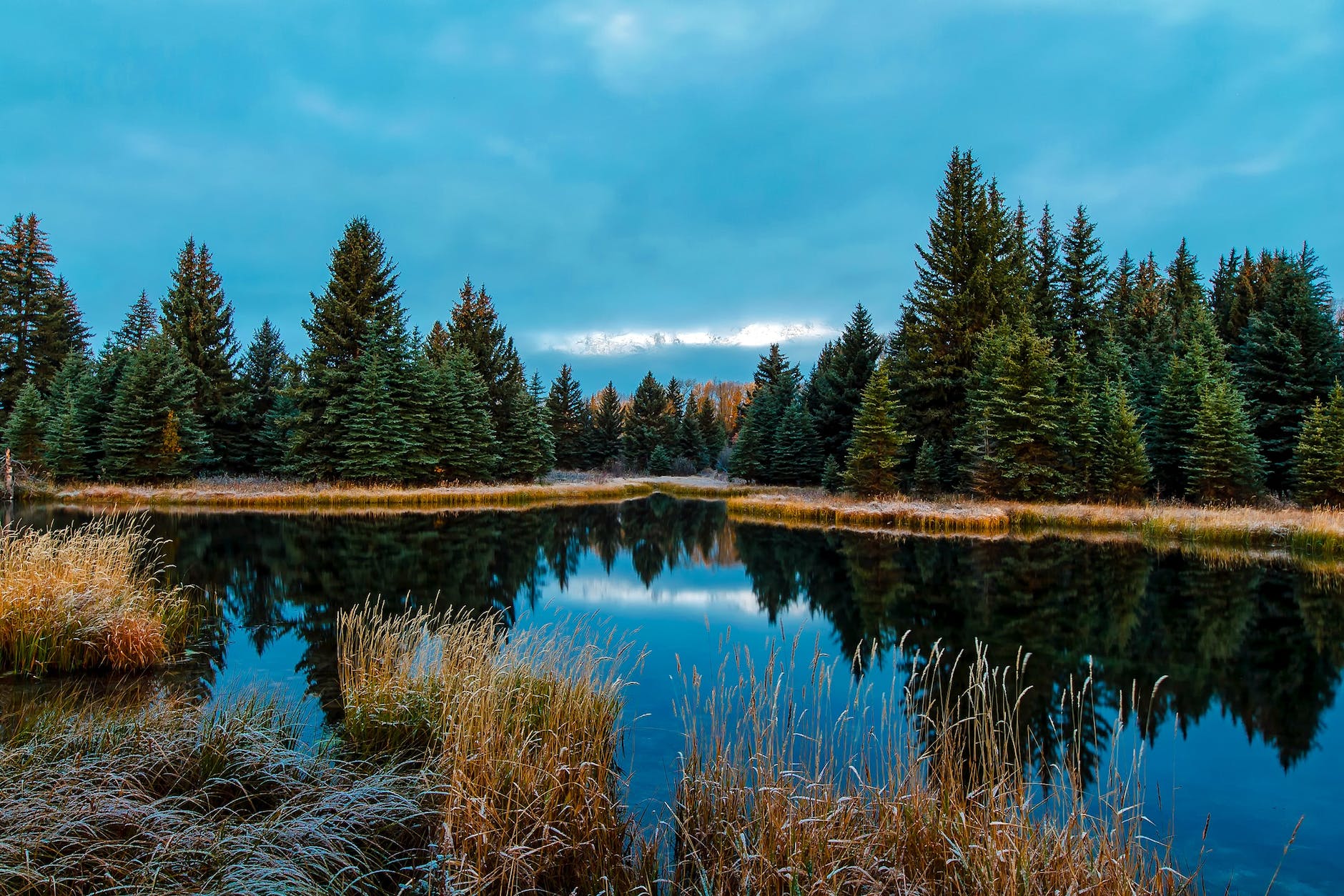 panoramic view of lake in forest